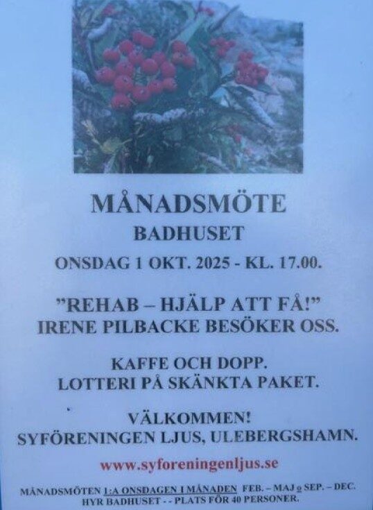 Syföreninges ljus månadsmöte